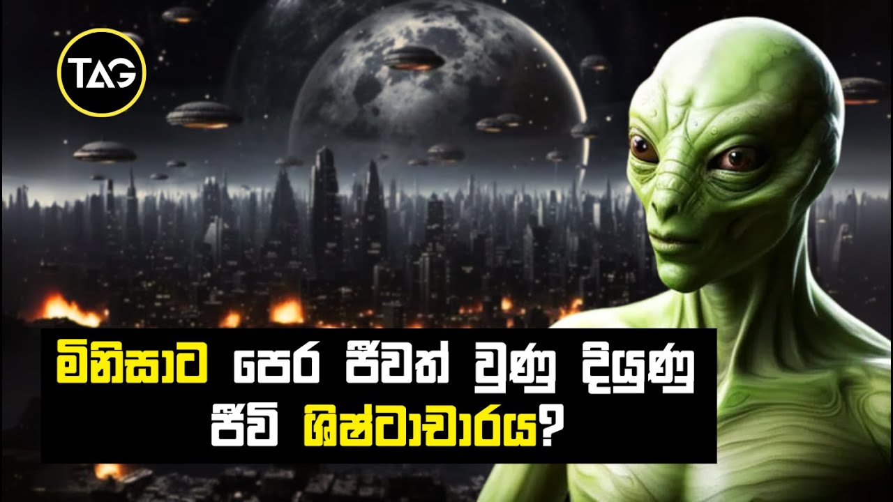 අපි මේ ලෝකයේ ජීවත් වුණු පළමු දියුණු ජීවින් කොට්ඨාසයද? | The Silurian Hypothesis