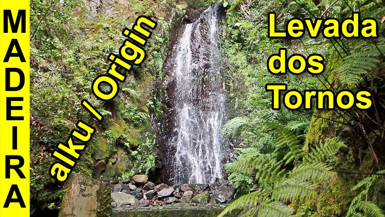Madeira, Levada walks, Levadan dos Tornos alkulähde / This is where levada dos Tornos begins.  092.
