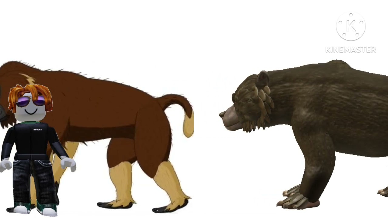 Cenozoic beasts animated size comparison