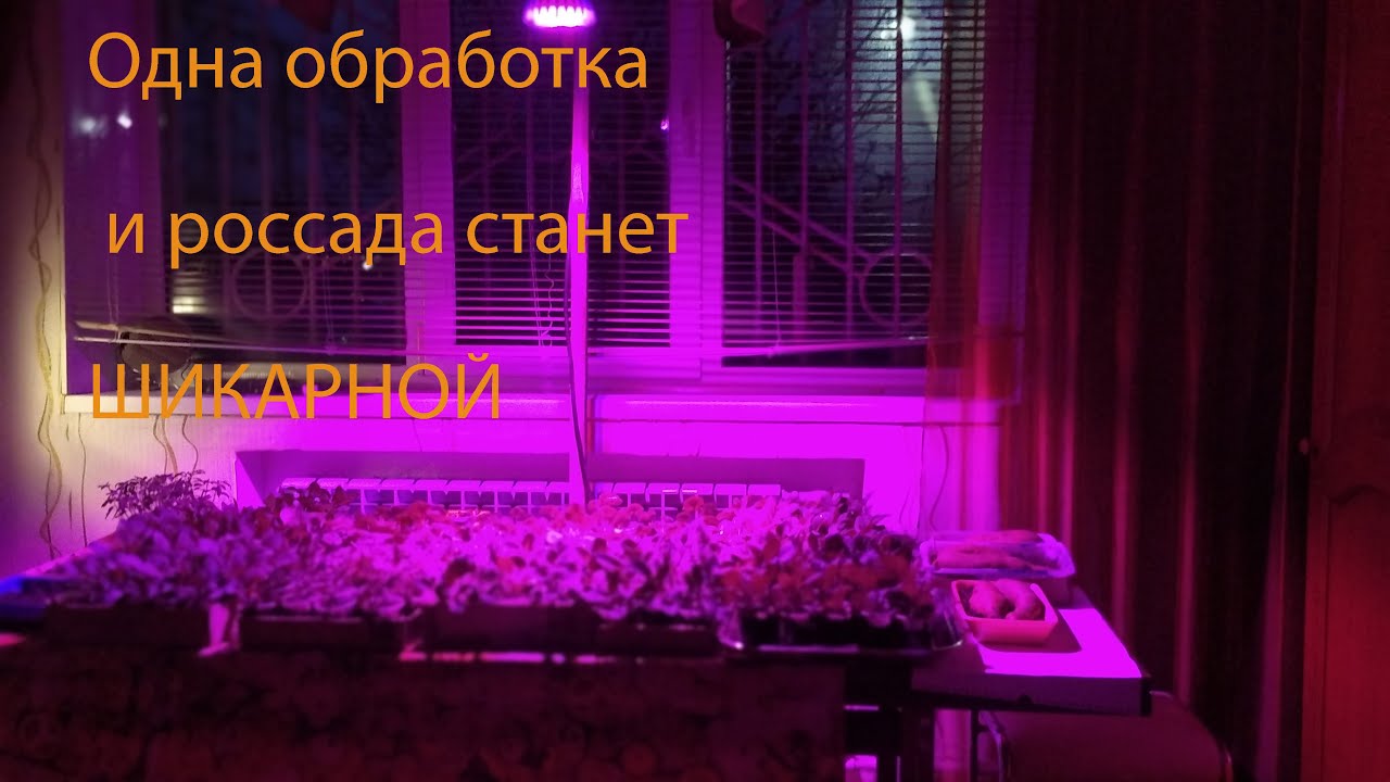 Ретарданты в действии