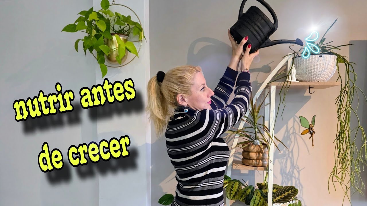 NUTRIR  antes de CRECER/ AGUA de ARROZpara las PLANTAS 