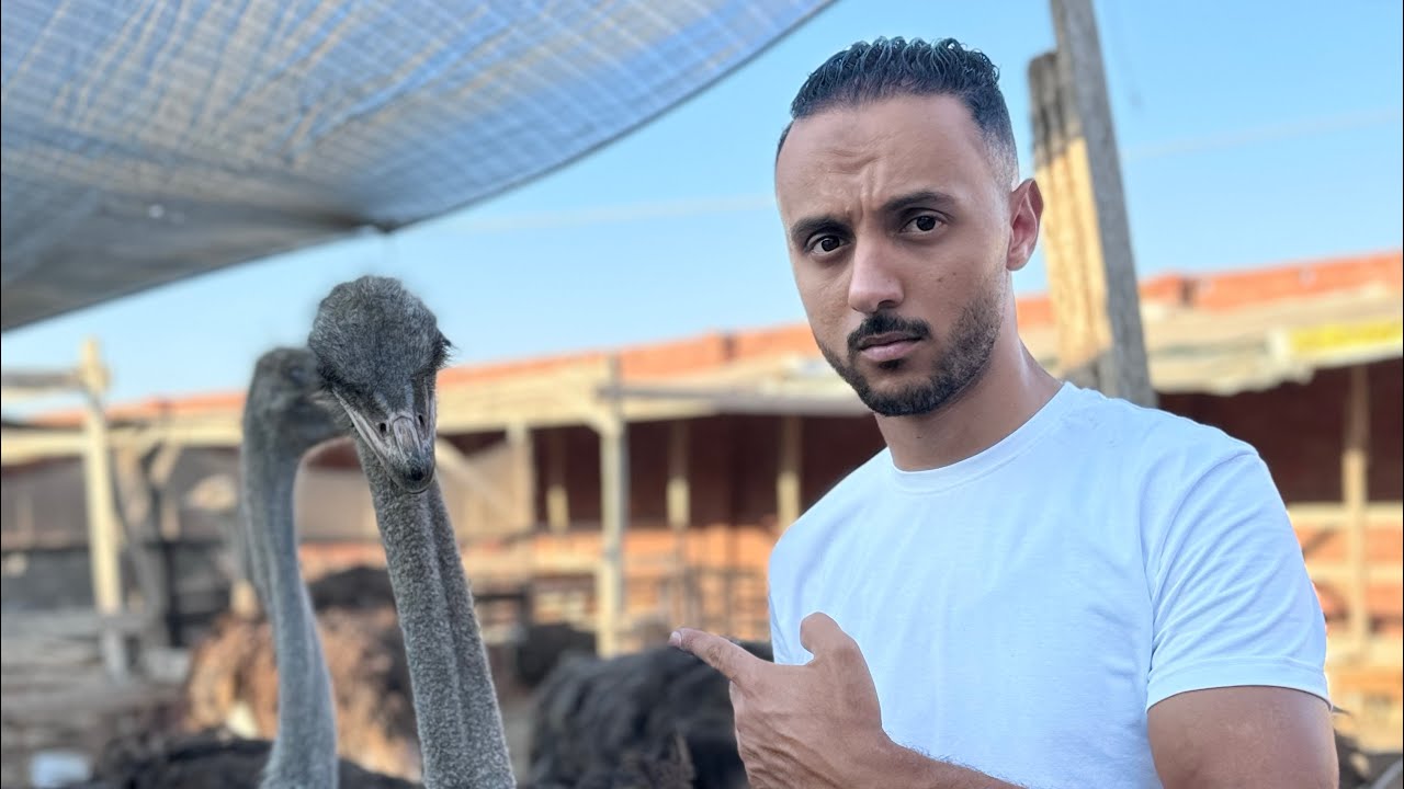 رد فعل النعام بعد غياب سلطان 😰(مكنتش متوقع كده )