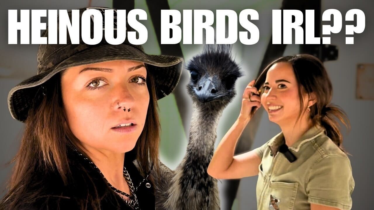 Getting Over My Bird Problem at Alveus Sanctuary | Lindsay Nikole