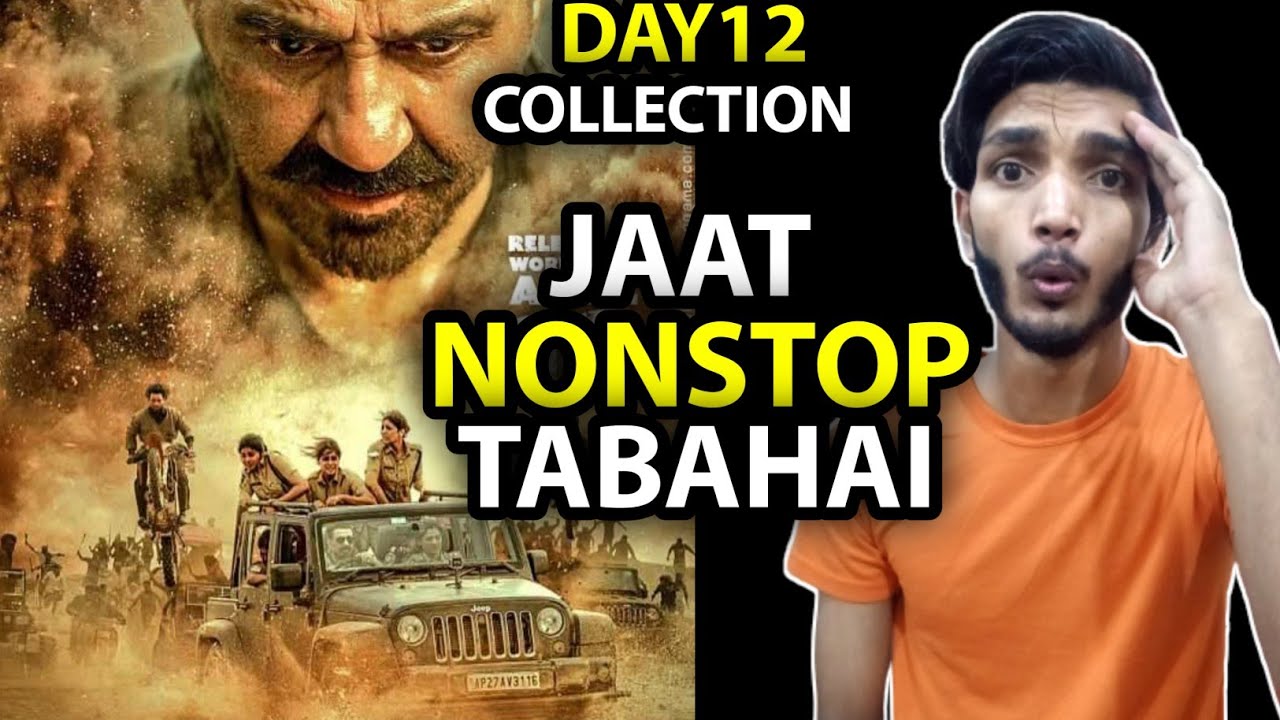 Jaat Day 12 Shocking Box Office Collection |Jaat Day 12 Collection|Jaat Day 12 Box office collection