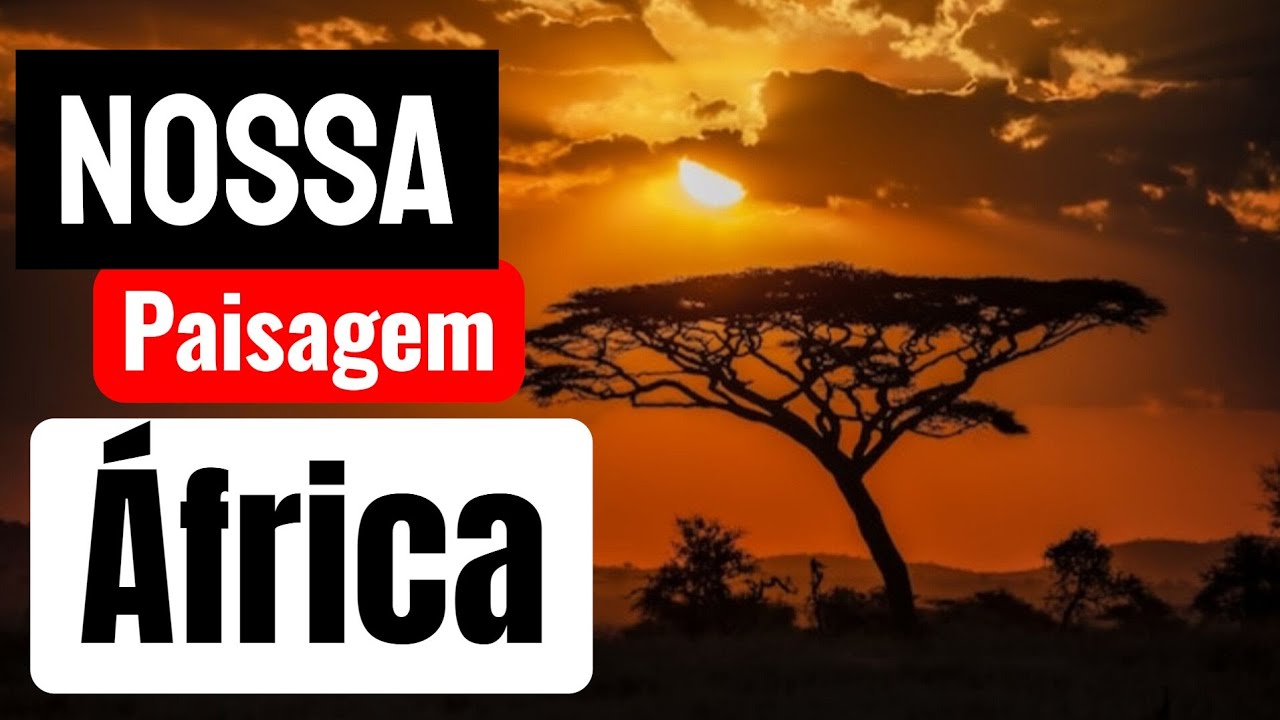 AMANHECEU NA ÁFRICA MOÇAMBIQUE 🇲🇿,UMA PAISAGEM MUITO DIFERENTE 😁, VAMOS CONVERSAR MEUS AMIGOS