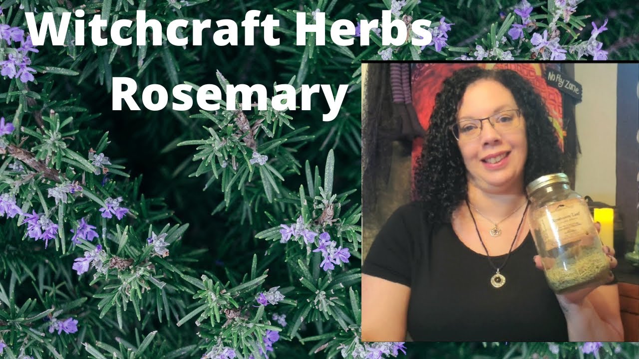 Witchcraft Herbs// Rosemary