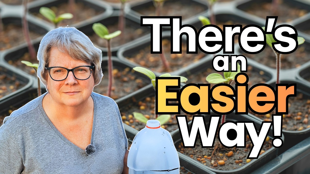 Easy Seed Starting without Trays or Heat Mats!