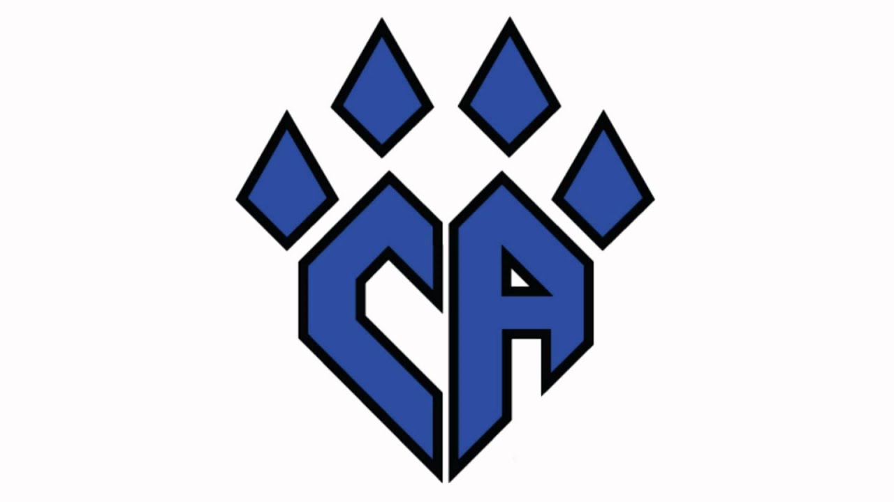 Cheer Athletics Cheetahs 2014-2015