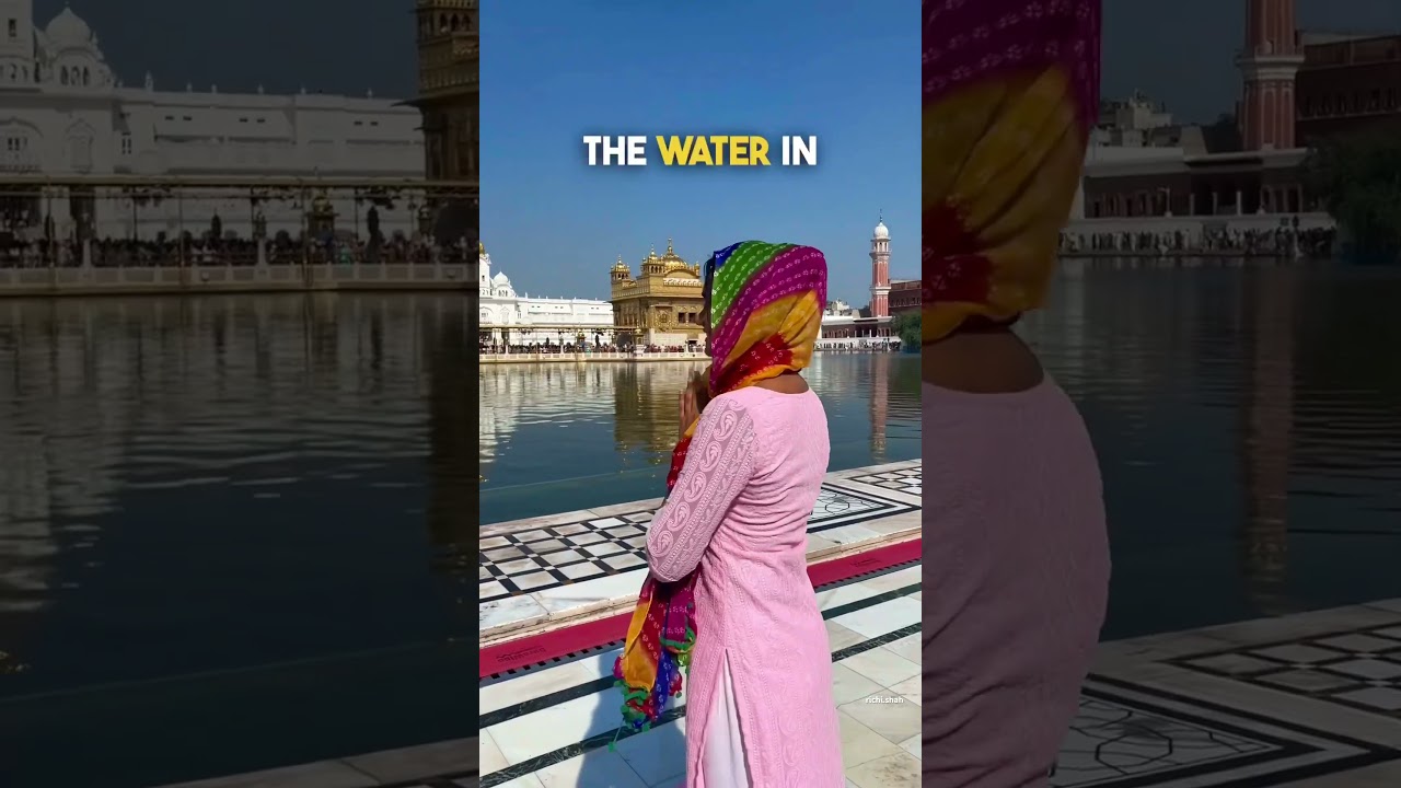 I visited the Golden temple in Amritsar | #temple #india #shorts #travel