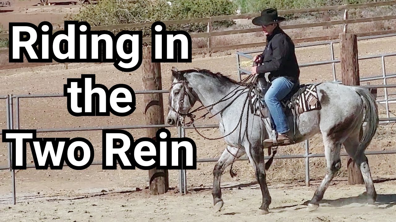 Horse training in the Two Rein, Vaquero Style