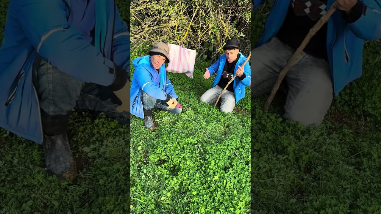 نعنوع راه معمر الميلود على الحاج