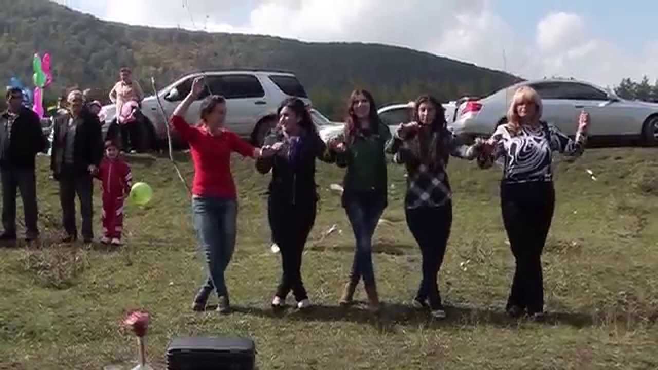 BERQI  TON  DV 1