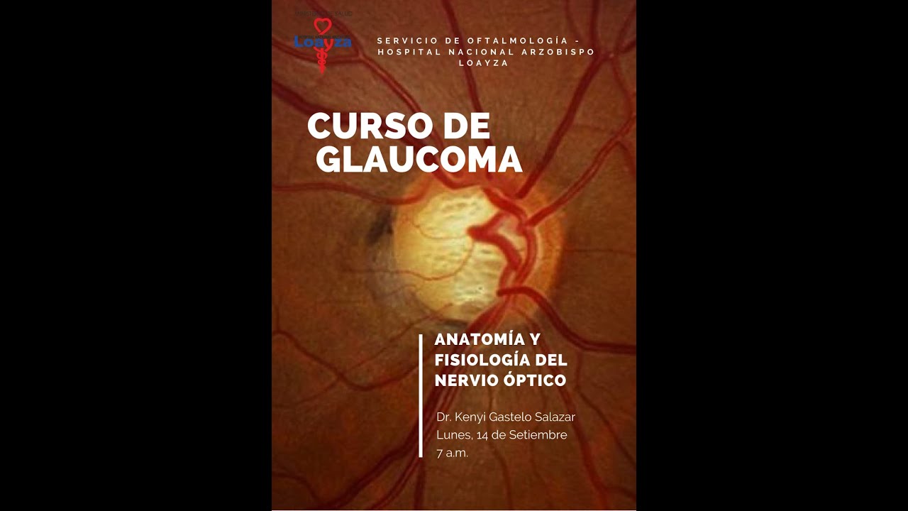 Anatomía y Fisiología del Nervio Óptico