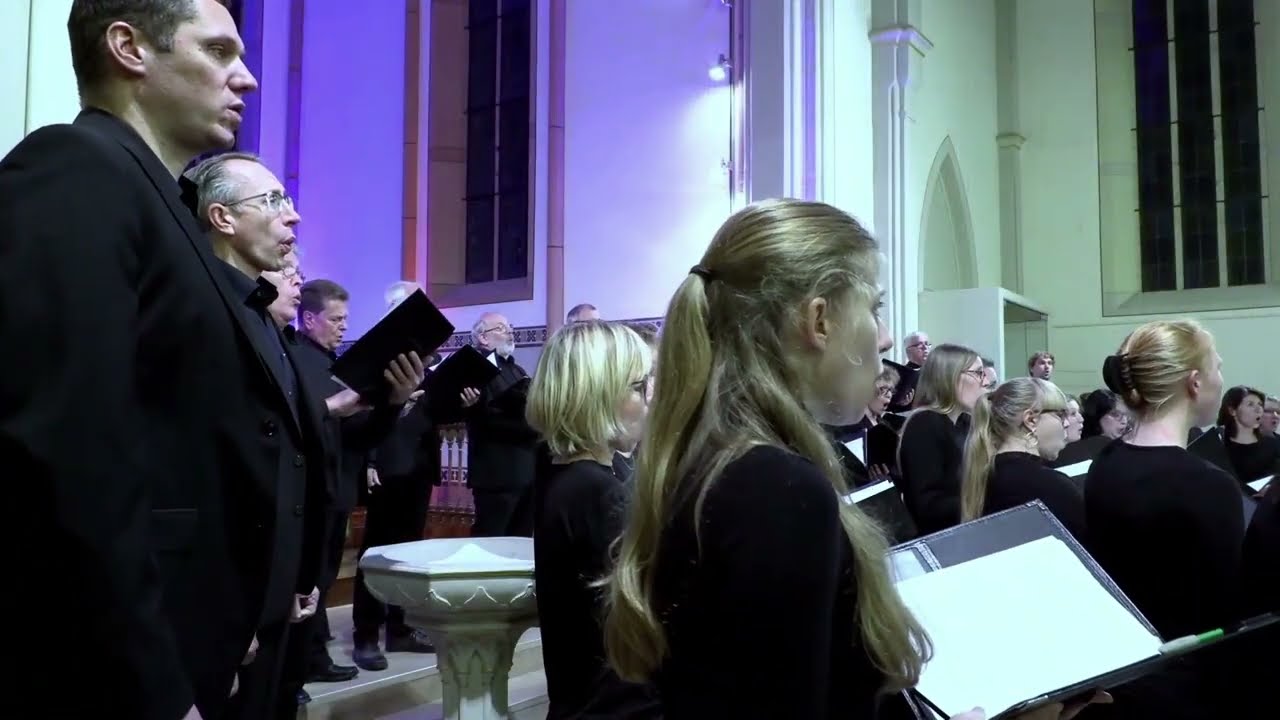 Robert Schumann - Ungewitter, op. 67 Nr. 4 - proVocal Meisterchor