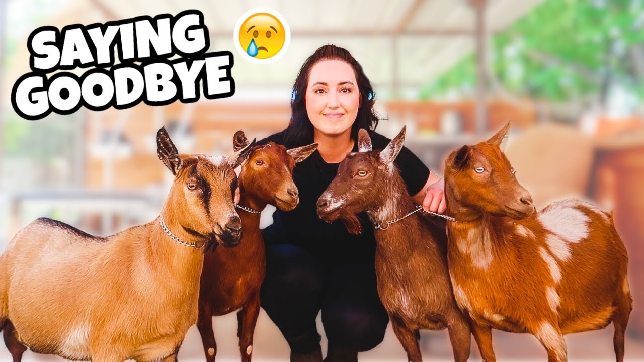 WHICH of the NEW mamas are gonna leave us?