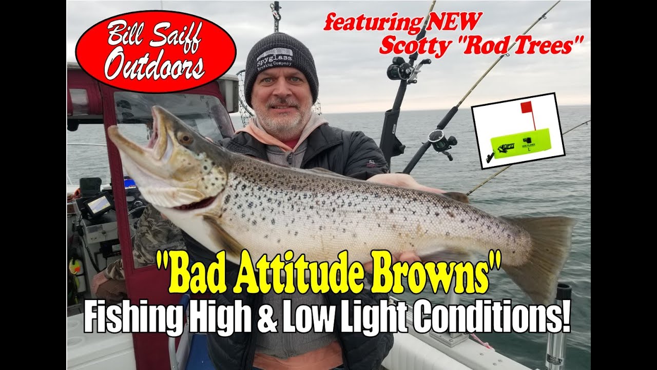 "Bad Attitude Browns"- Lake Ontario