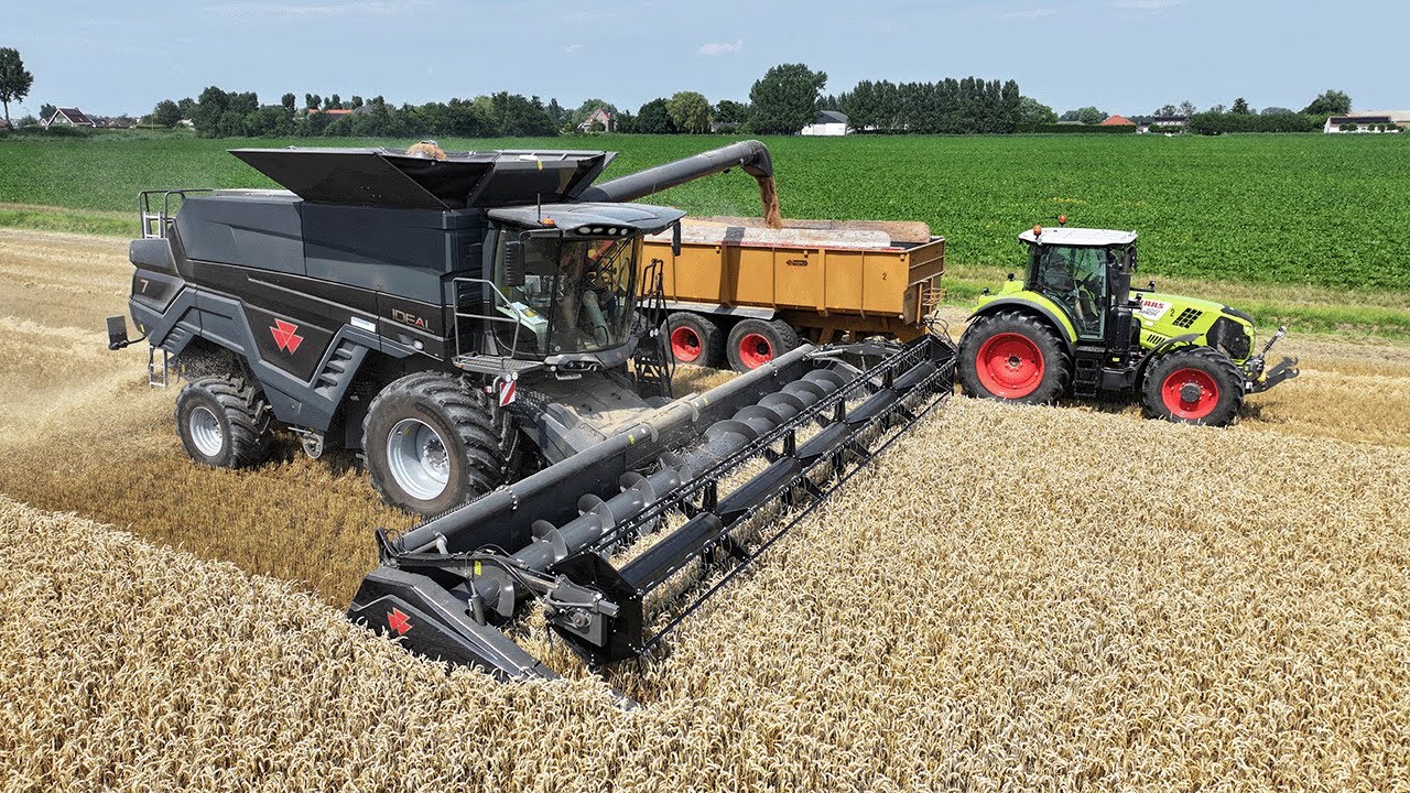 First Massey Ferguson IDEAL 7 in Holland | wheat harvest | 2x Claas Arion 650 | NIVU