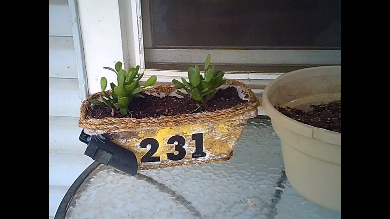 D.i.y house number planter.