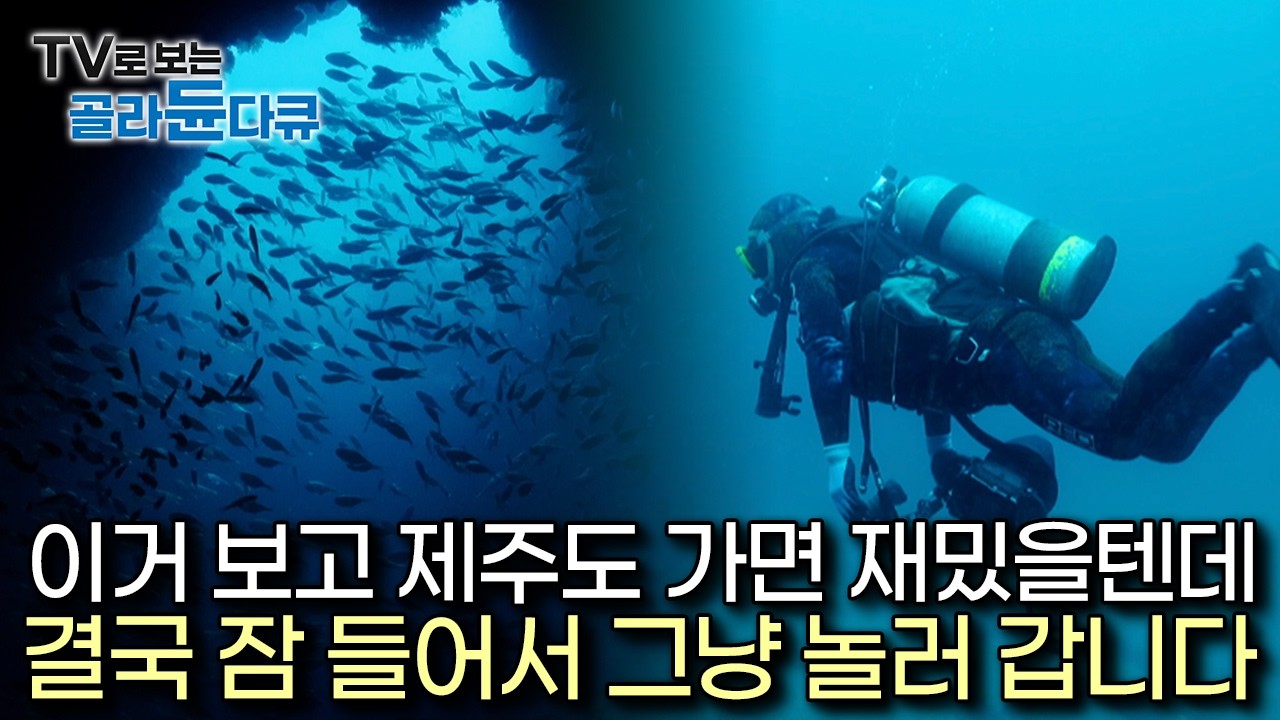 [수면 다큐] 당신은 오늘 제주 바다에서 잠에 듭니다..🌊｜180만년 전 잠들어있던 제주도의 흔적과 그 탄생의 기원 탐라국 해저 탐사｜다큐프라임｜#골라듄다큐