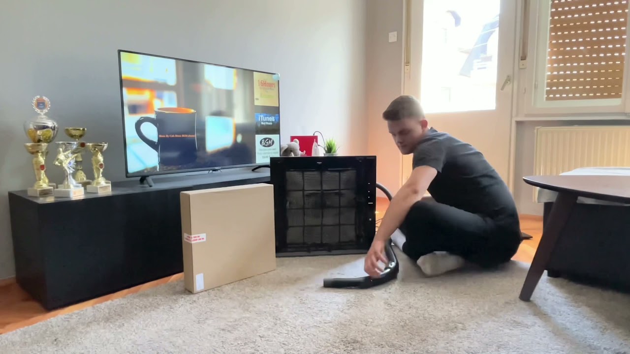 Zepter Therapy Air iOn Filter change