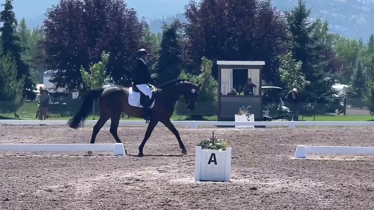 Orion’s Shining Star ridden by Sarah Buehler - Rebecca Farm Novice Test B - 07/19/2023