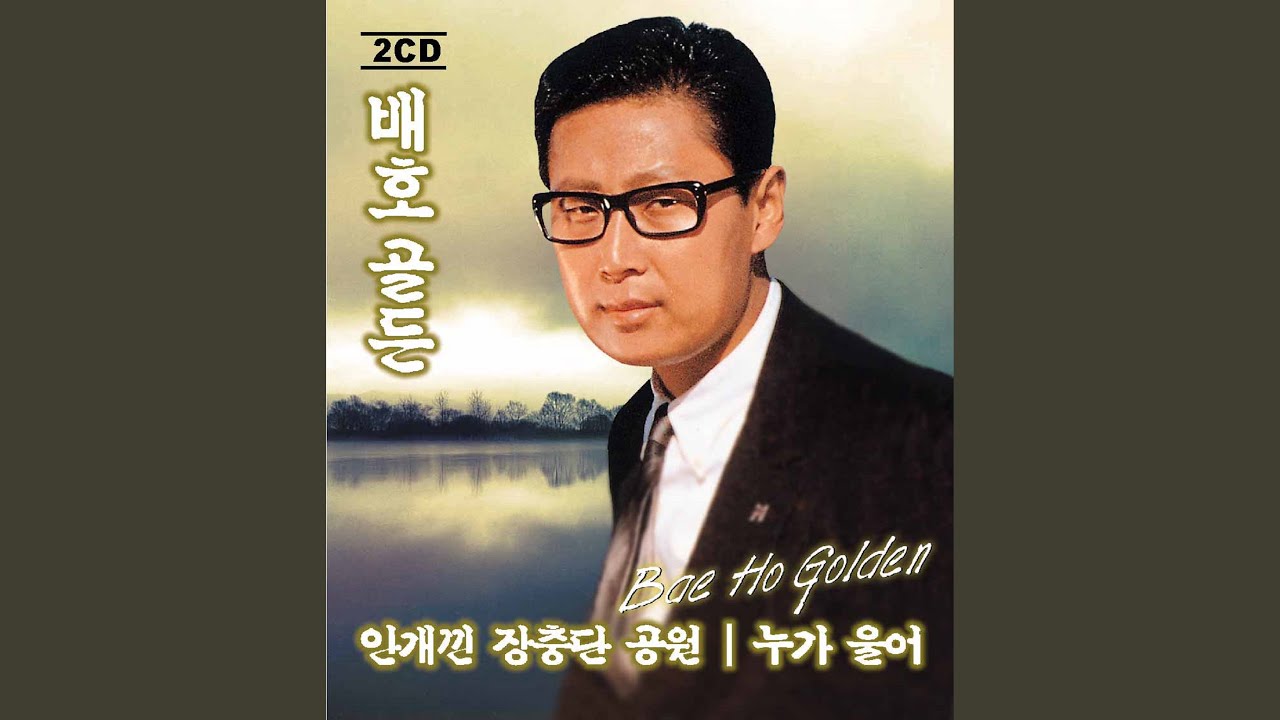 비오는 남산