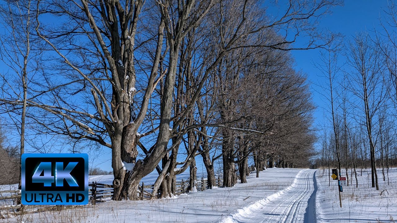 4K Virtual X-Ski - Winter Trail - Hockley Valley - Nordic Skiing