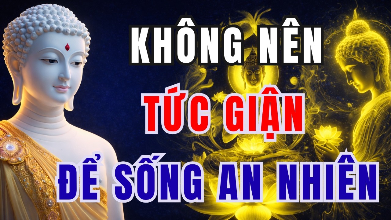 PHẬT DẠY KHÔNG TỨC GIẬN: Buông Bỏ Nóng Giận Để Sống An Nhiên, Bớt  Đau Khổ