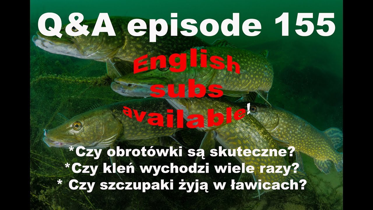 Q&A odcinek 155 - obrotówki, sprytne klenie i ławice szczupaków