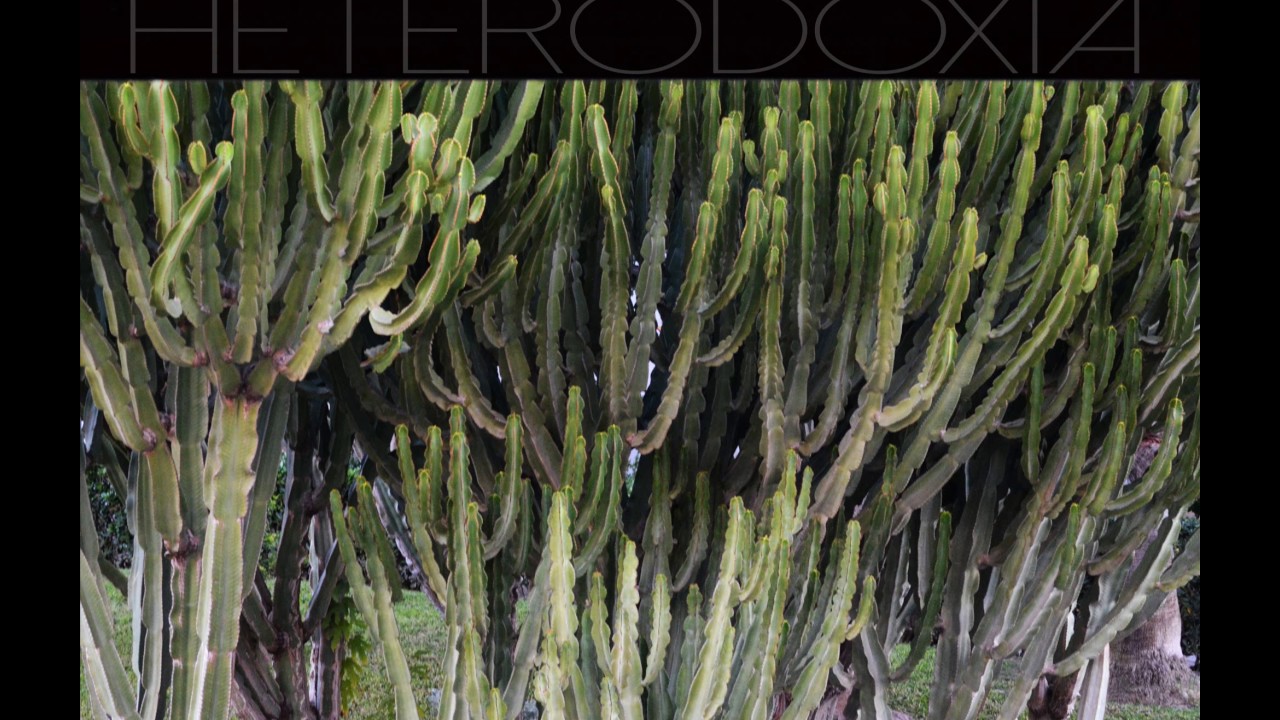 TRACK CHARLES - Trece Tracks, Charlie. (con HeQue)