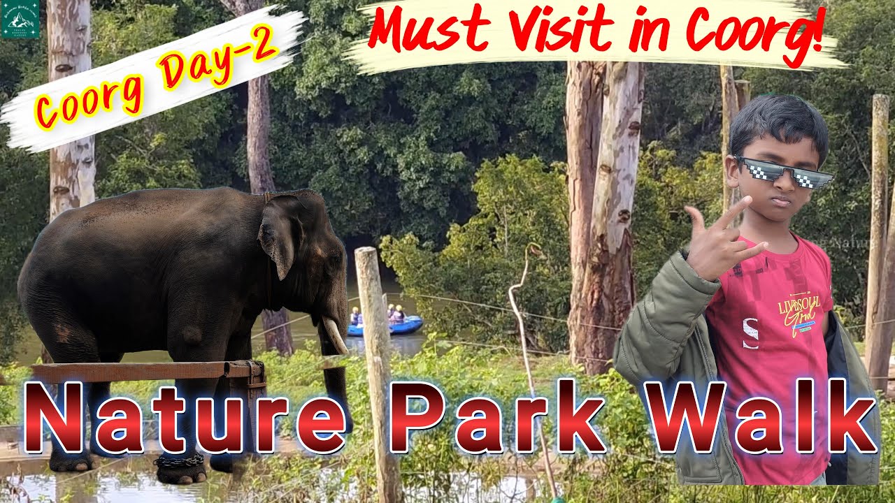 Coorg Day 2, Dubare Elephant Camp & Nagarahole Safari 🐘🌳,@Travel Enjoying Nature (இயற்கையை ரசித்த பயணம்)