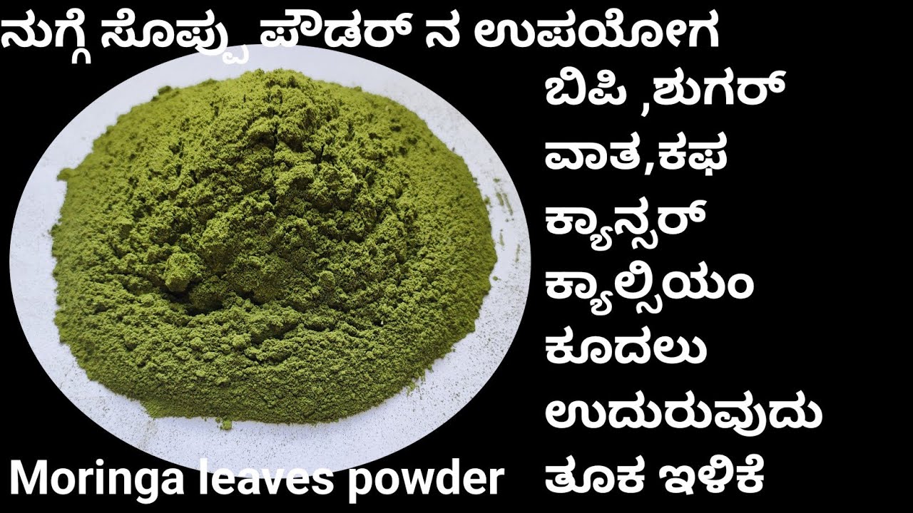 Multiple benefits of moringa leaf powder | ಇದು  ಅಮೃತಕ್ಕೆ ಸಮಾನ #drumsticks | Amitha's kitchen
