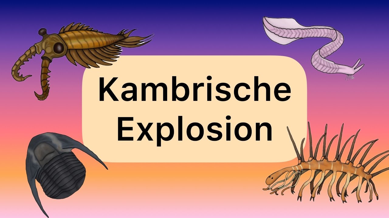 Das Kambrium (Pal&auml;ozoikum Teil 1)
