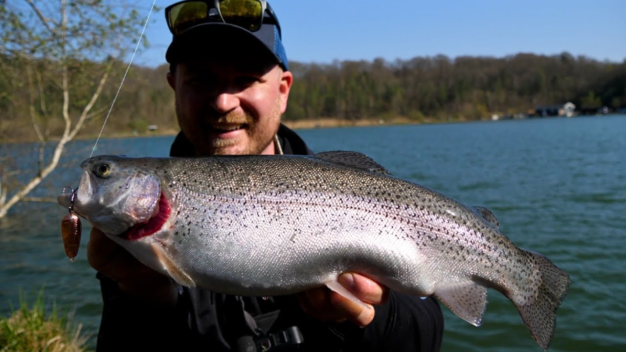 FiskeTips - Fang Masser Af Ørreder På Bulldog