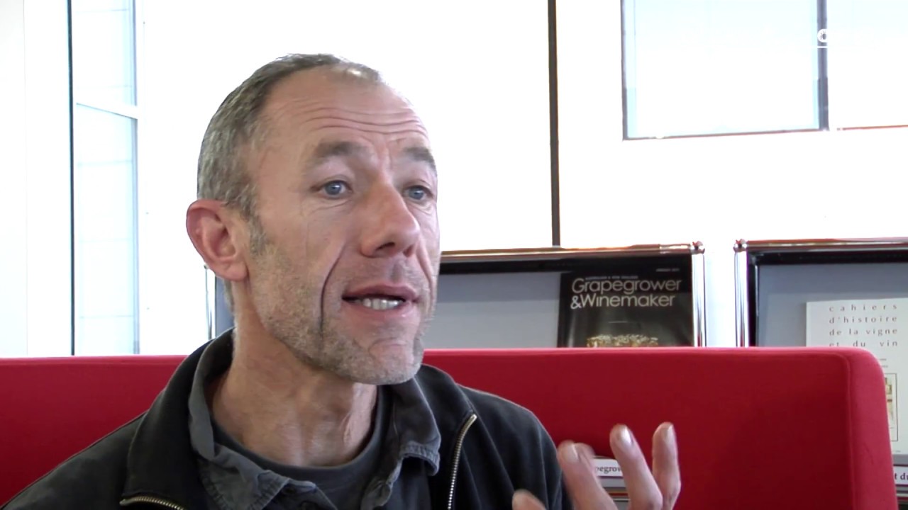 Observatoires des maladies du bois en Charentes