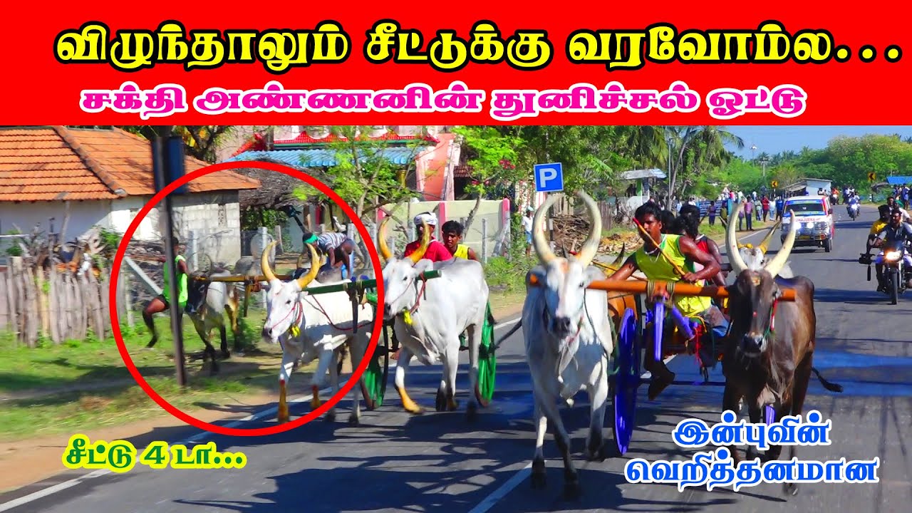 மணமேல்குடி -கரிச்சான் செட் 2 | 28-02-2022 | #manamelkudi