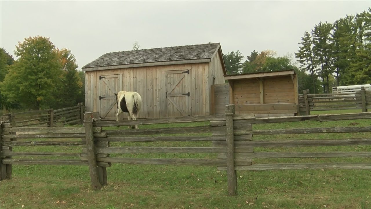 Macktown Settlement Living History