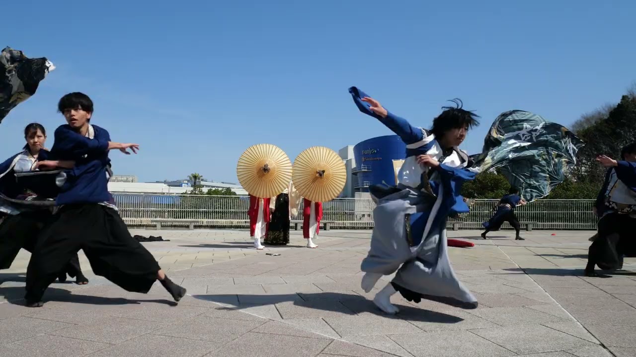 07 粲華 堺よさこいかえる祭り2026［４Ｋ］