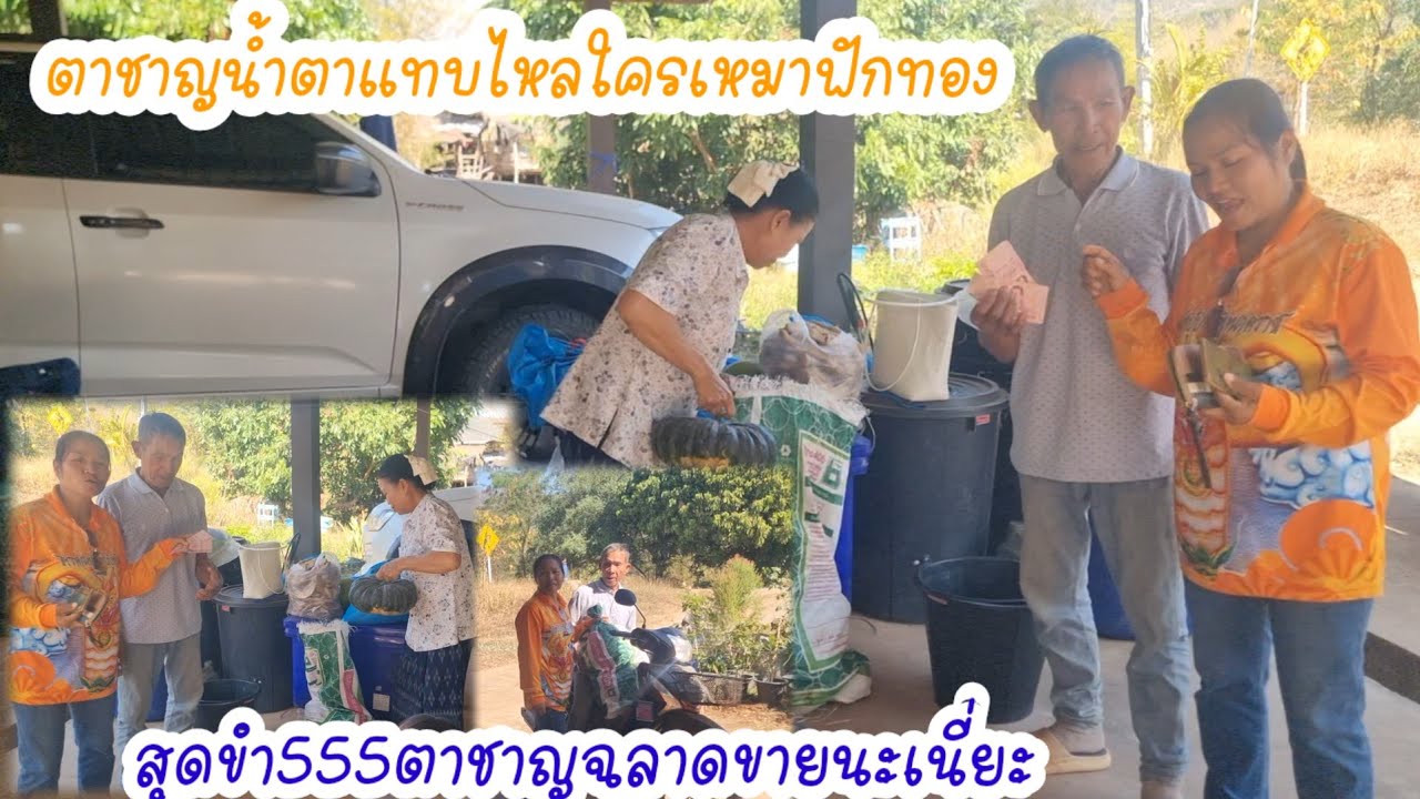ตาชาญสุดดีใจใครเหมาฟักทองราคานี้ไม่มีอีกแล้วฉลาดขายนะตา🤣,ตุ้มโฮมนอกพื้นที่
