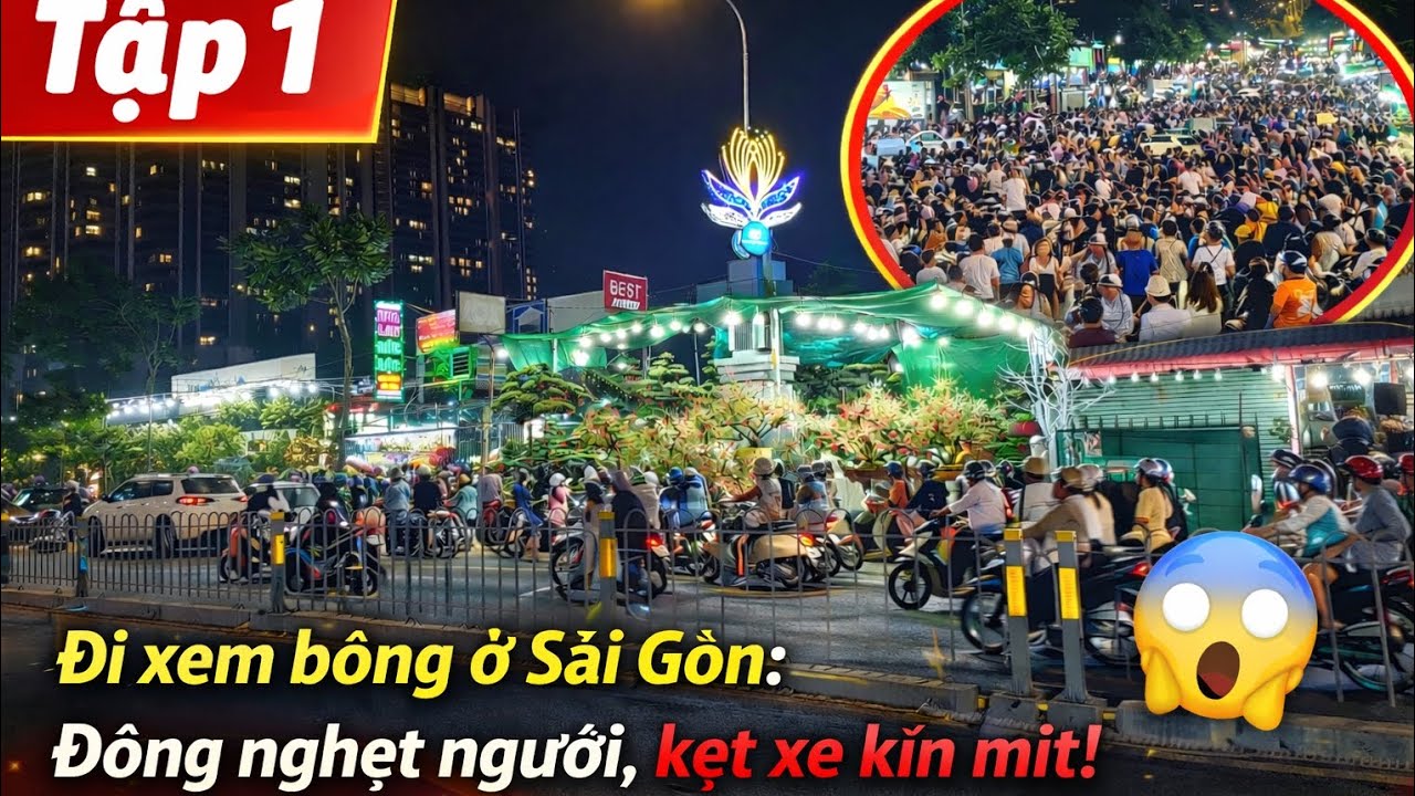 Tập 1 | Trải nghiệm xem bông trên đường Thành Thái, Sài Gòn– không khí siêu náo nhiệt! 🌸 #viral #fyp