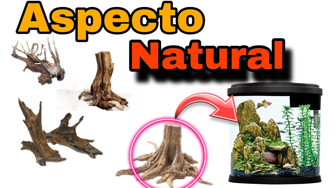DIY Cómo CURAR TRONCOS , RAÍCES Y RAMAS  antes de introducirlos a mi ACUARIO | Curado de TRONCOS