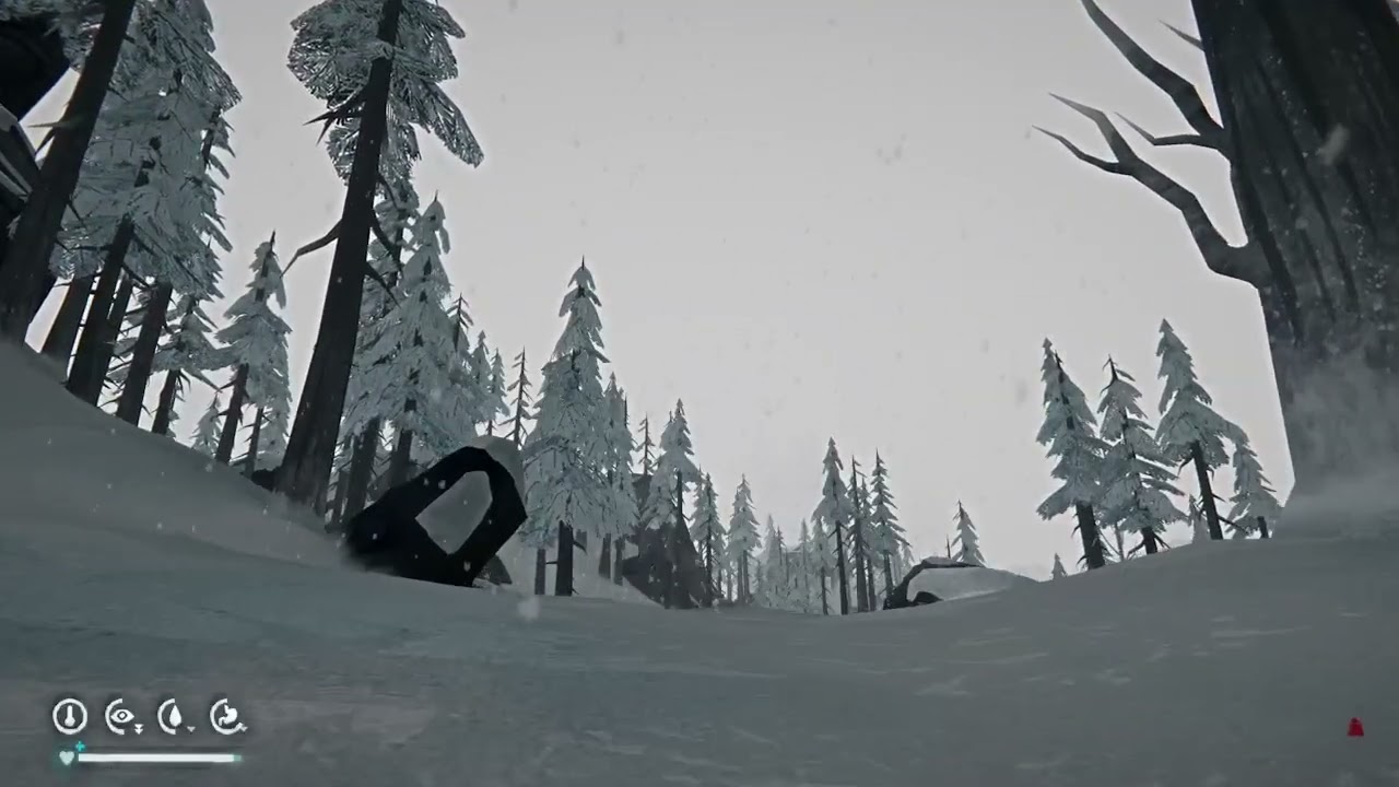 The Long Dark