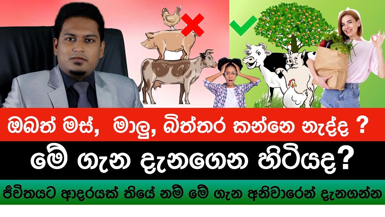 ඔබත් මස් මාළු බිත්තර කන්නෙ නැති කෙනෙක්ද? |  Vegan's Diet  By Nutritionist Hiroshan Jayaranga
