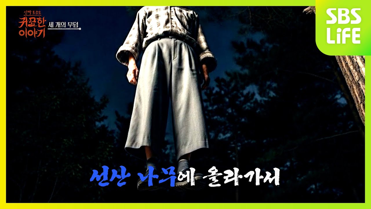 [21회] 시아버지의 봉분ㅣ신빨토크쇼 귀묘한 이야기