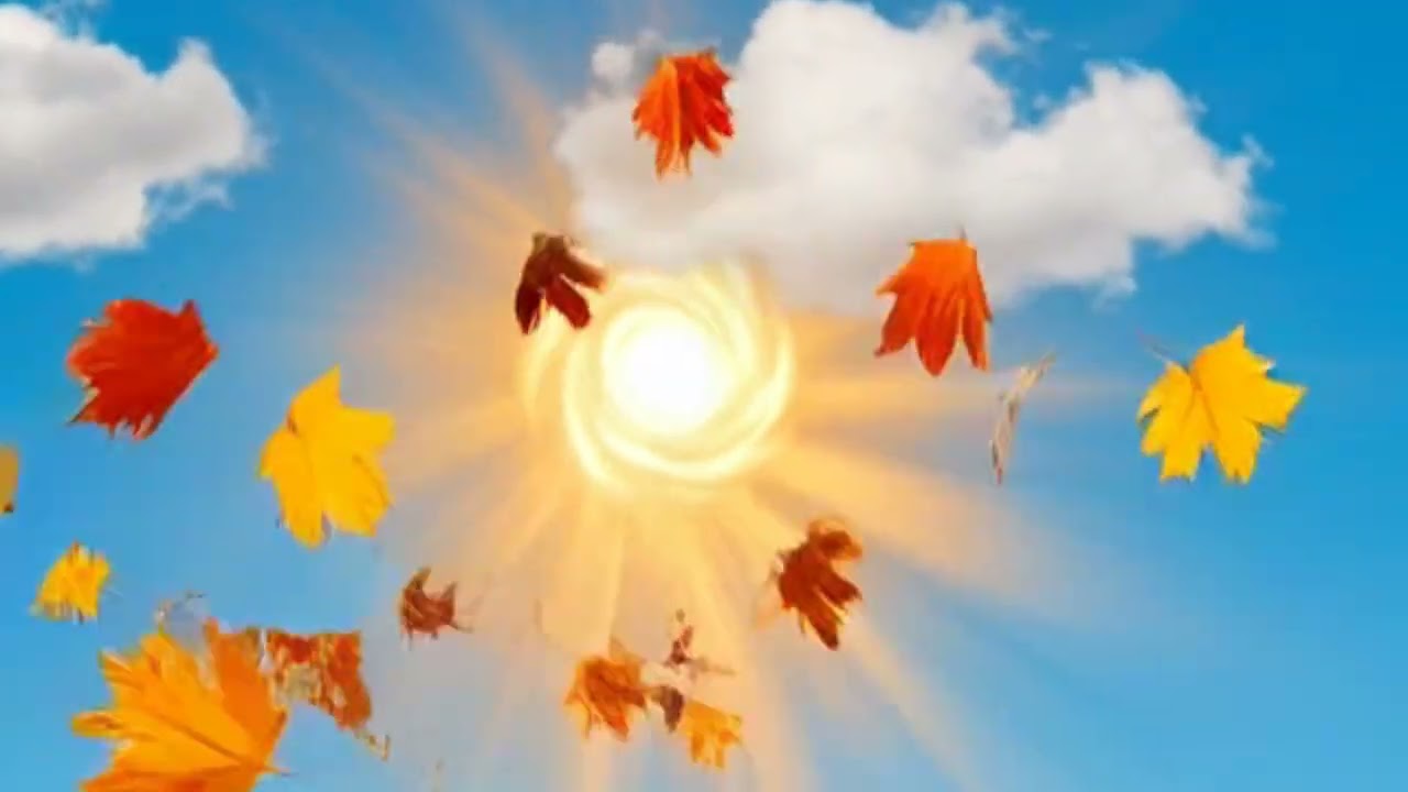 Пісня торкнеться кожного, кому за    🍁