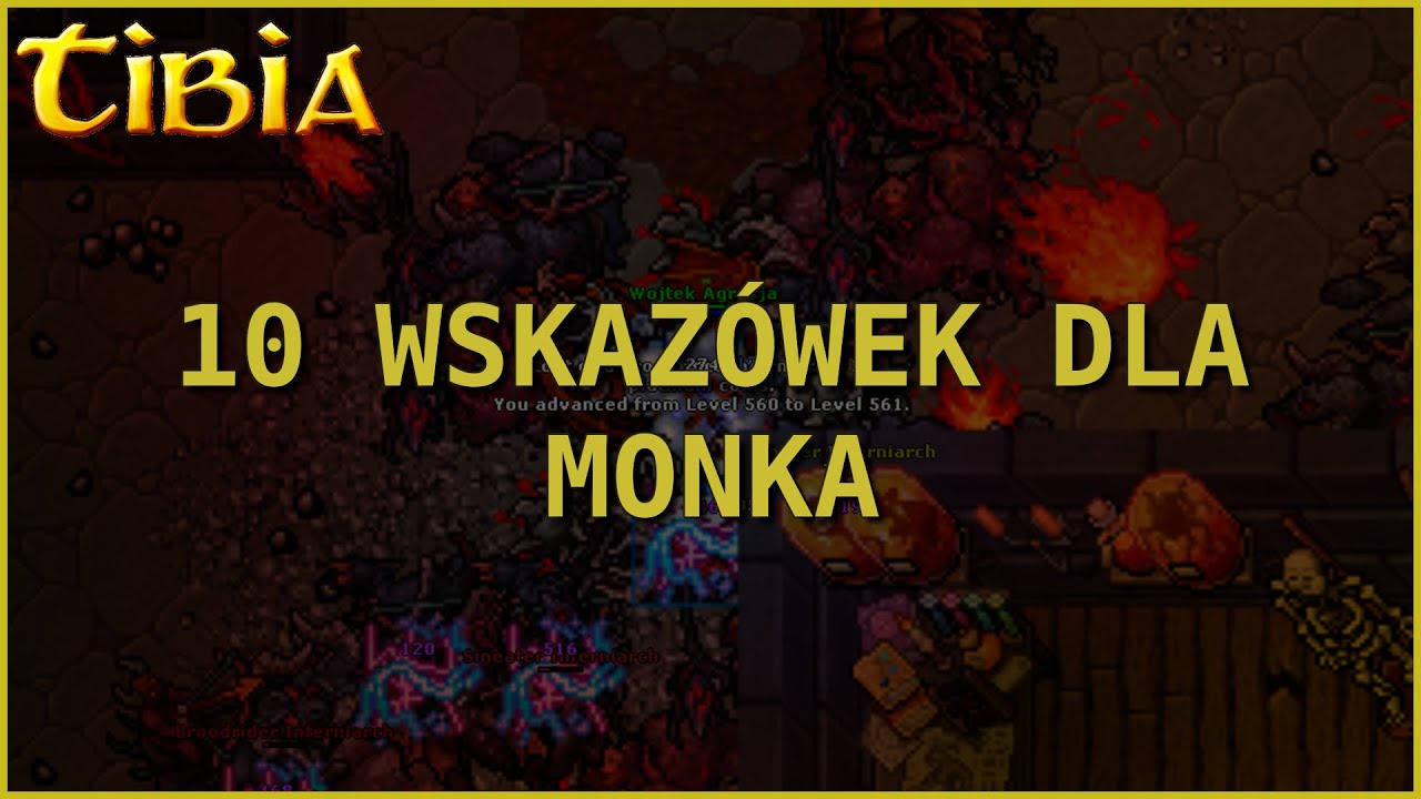 Tibia | 10 wskazówek dla Monków