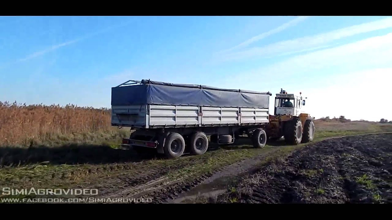 Corn Harvest 2015: Claas Tucano 440 4WD + Oros Cornado & Claas Tucano 440 + Oros 6211 HSA