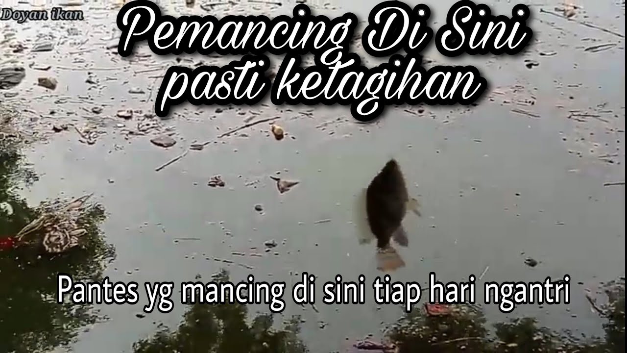 bnyak pemancinnya, ikannya banyak, bikin ketagihan para pemancingnya