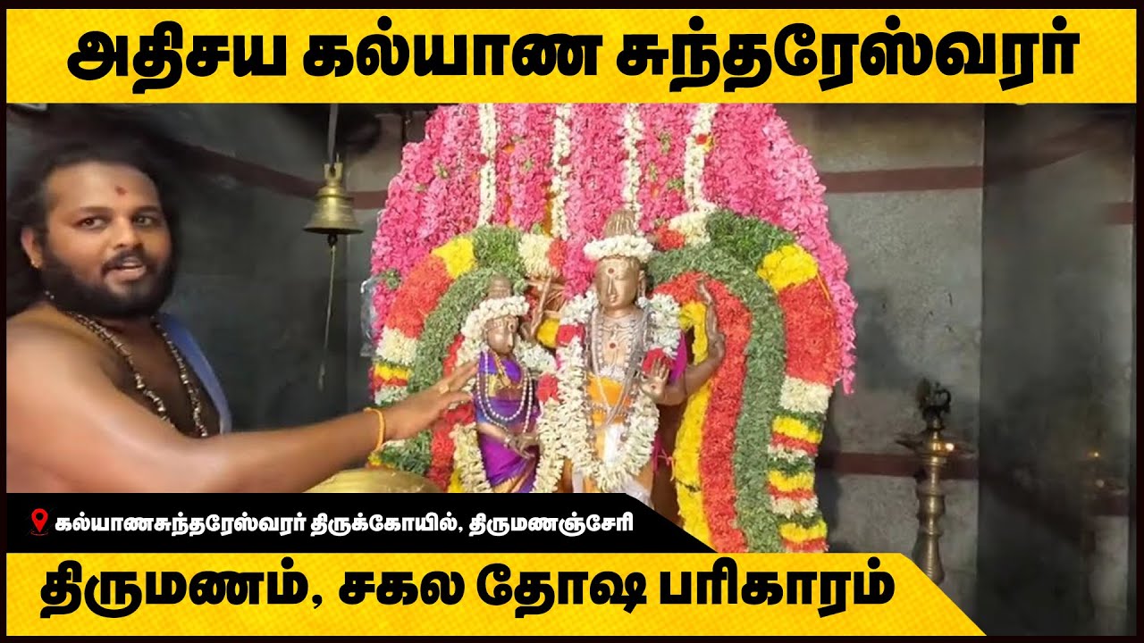 அதிசய சிவன் சிலை|Thirumananjeri Kalyana sundareswarar| திருமணம் மற்றும் சகல தோஷ பரிகாரம்| Go Temple