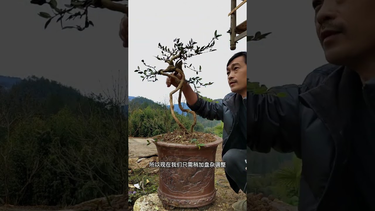 视频做了老半天，就干这么个弄意儿#115度鲜鲜让我做主 #我的乡村生活 #盆景